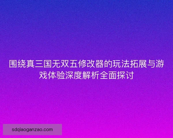 围绕真三国无双五修改器的玩法拓展与游戏体验深度解析全面探讨