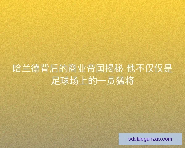 哈兰德背后的商业帝国揭秘 他不仅仅是足球场上的一员猛将