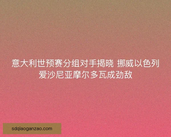 意大利世预赛分组对手揭晓 挪威以色列爱沙尼亚摩尔多瓦成劲敌
