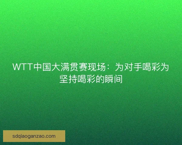 WTT中国大满贯赛现场：为对手喝彩为坚持喝彩的瞬间