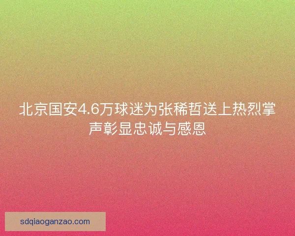 北京国安4.6万球迷为张稀哲送上热烈掌声彰显忠诚与感恩