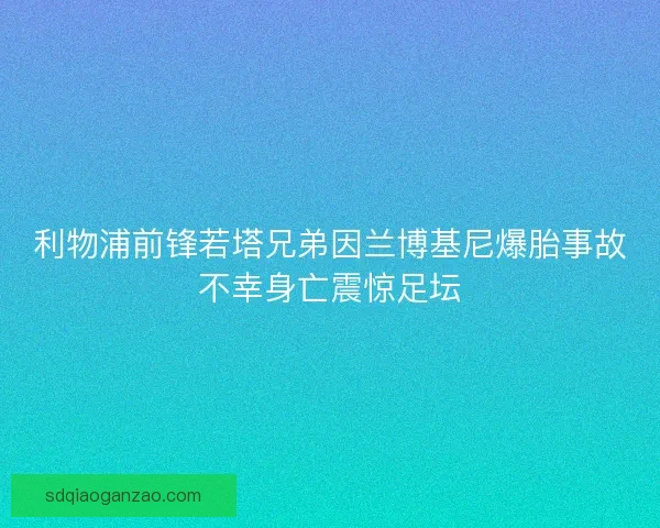 利物浦前锋若塔兄弟因兰博基尼爆胎事故不幸身亡震惊足坛