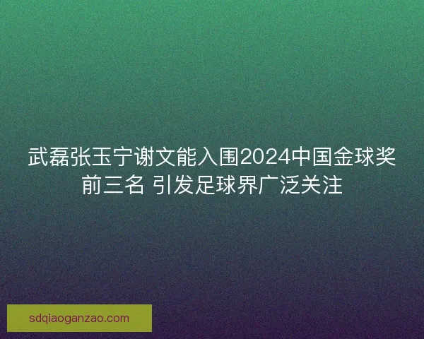 武磊张玉宁谢文能入围2024中国金球奖前三名 引发足球界广泛关注