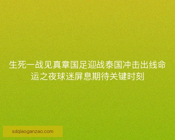 生死一战见真章国足迎战泰国冲击出线命运之夜球迷屏息期待关键时刻 生死一战见真章国足迎战泰国冲击出线命运之夜球迷屏息期待关键时刻