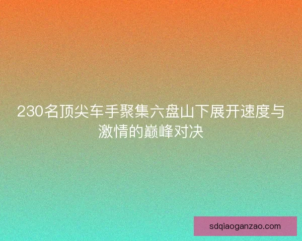 230名顶尖车手聚集六盘山下展开速度与激情的巅峰对决 230名顶尖车手聚集六盘山下展开速度与激情的巅峰对决