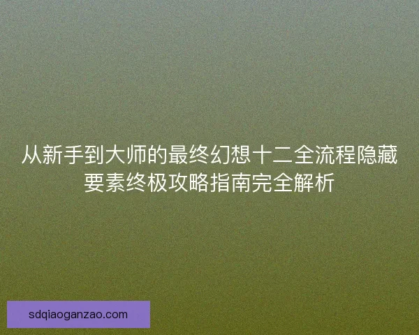 从新手到大师的最终幻想十二全流程隐藏要素终极攻略指南完全解析