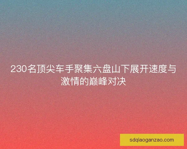 230名顶尖车手聚集六盘山下展开速度与激情的巅峰对决
