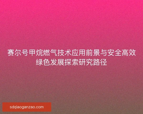 赛尔号甲烷燃气技术应用前景与安全高效绿色发展探索研究路径 赛尔号甲烷燃气技术应用前景与安全高效绿色发展探索研究路径
