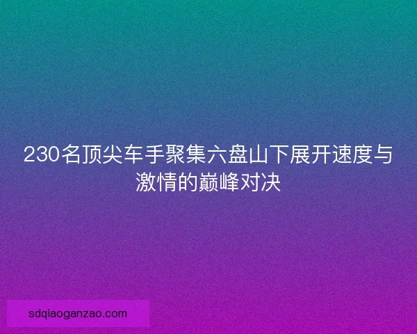 230名顶尖车手聚集六盘山下展开速度与激情的巅峰对决