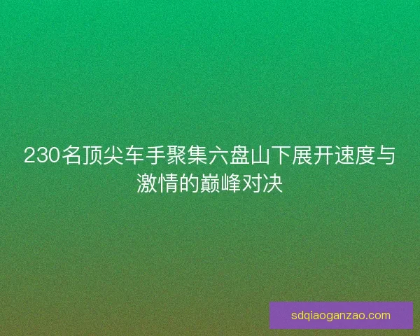 230名顶尖车手聚集六盘山下展开速度与激情的巅峰对决